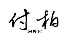 梁锦英付柏草书个性签名怎么写