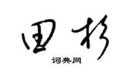 梁锦英田杉草书个性签名怎么写