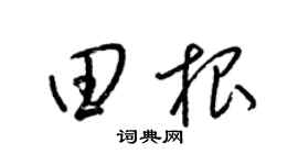 梁锦英田根草书个性签名怎么写