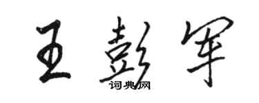 骆恒光王彭军行书个性签名怎么写