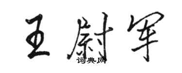 骆恒光王尉军行书个性签名怎么写