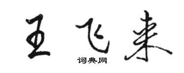 骆恒光王飞来行书个性签名怎么写