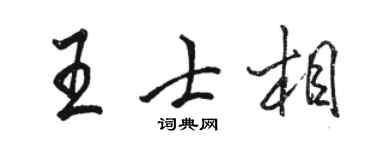 骆恒光王士相行书个性签名怎么写