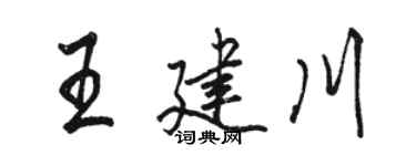 骆恒光王建川行书个性签名怎么写