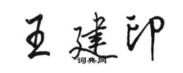 骆恒光王建印行书个性签名怎么写