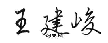 骆恒光王建峻行书个性签名怎么写