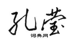 骆恒光孔莹行书个性签名怎么写