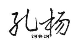 骆恒光孔杨行书个性签名怎么写