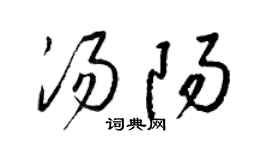 梁锦英汤阳草书个性签名怎么写