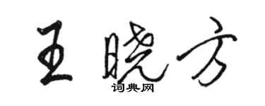 骆恒光王晓方行书个性签名怎么写