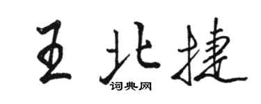 骆恒光王北捷行书个性签名怎么写