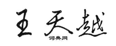 骆恒光王天越行书个性签名怎么写