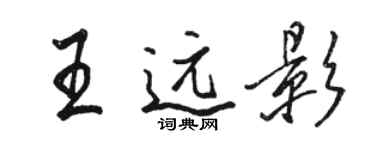 骆恒光王远影行书个性签名怎么写