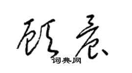 梁锦英顾晨草书个性签名怎么写