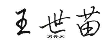 骆恒光王世苗行书个性签名怎么写