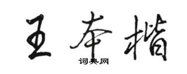 骆恒光王本楷行书个性签名怎么写