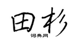 王正良田杉行书个性签名怎么写