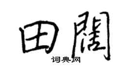 王正良田阔行书个性签名怎么写