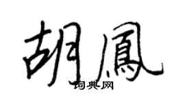 王正良胡凤行书个性签名怎么写