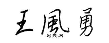 王正良王风勇行书个性签名怎么写