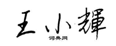 王正良王小辉行书个性签名怎么写