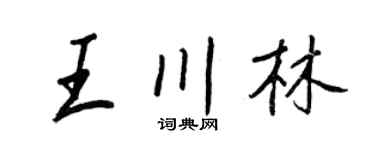 王正良王川林行书个性签名怎么写