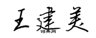 王正良王建美行书个性签名怎么写