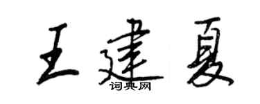 王正良王建夏行书个性签名怎么写