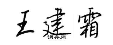 王正良王建霜行书个性签名怎么写