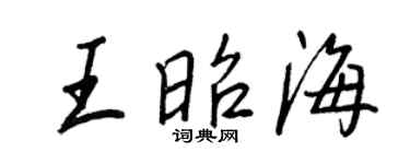 王正良王昭海行书个性签名怎么写