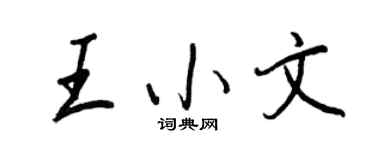 王正良王小文行书个性签名怎么写