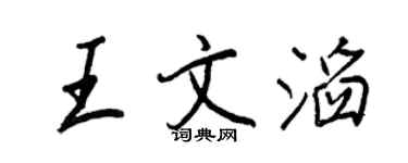 王正良王文滔行书个性签名怎么写