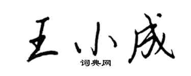 王正良王小成行书个性签名怎么写