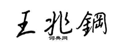 王正良王兆钢行书个性签名怎么写