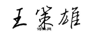 王正良王策雄行书个性签名怎么写