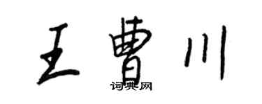 王正良王曹川行书个性签名怎么写