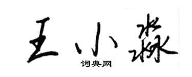 王正良王小淼行书个性签名怎么写