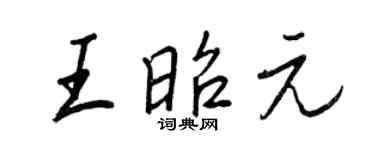 王正良王昭元行书个性签名怎么写