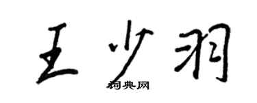 王正良王少羽行书个性签名怎么写