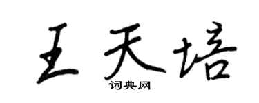 王正良王天培行书个性签名怎么写