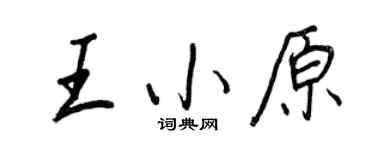 王正良王小原行书个性签名怎么写