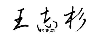 王正良王志杉行书个性签名怎么写