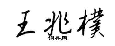 王正良王兆朴行书个性签名怎么写