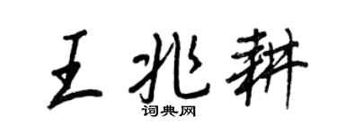 王正良王兆耕行书个性签名怎么写