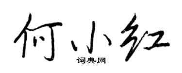 王正良何小红行书个性签名怎么写