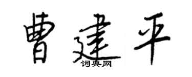 王正良曹建平行书个性签名怎么写