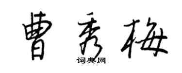 王正良曹秀梅行书个性签名怎么写