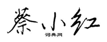 王正良蔡小红行书个性签名怎么写