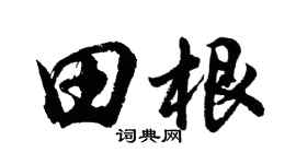 胡问遂田根行书个性签名怎么写