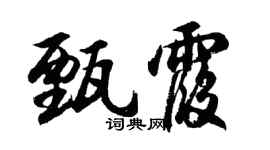 胡问遂甄霞行书个性签名怎么写